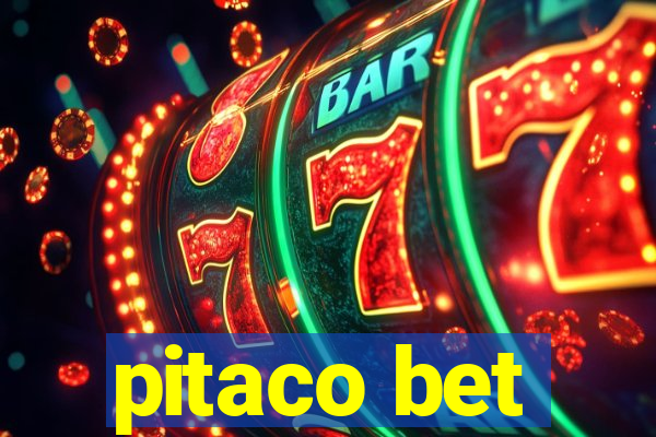 pitaco bet